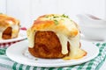 Potato balls with minced meat in deep fat, baked with mozzarella Royalty Free Stock Photo