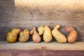 Potato banner, ugly potatoes on a wooden background. Potato variety, unique