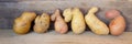 Potato banner, ugly potatoes on a wooden background. Potato variety, unique. Preparing potatoes for planting season