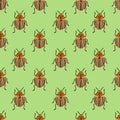 Potato beetle, Colorado bugs pattern. Vector Illustration for printing, backgrounds, covers, packaging, greeting cards, posters,