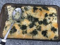 Potato, Cheese, and Spinach Casserole Royalty Free Stock Photo
