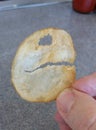 Potato Chip that Looks Like Pac Man