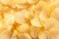 Potato chips background in the sunlight. Royalty Free Stock Photo