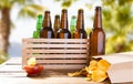 Potato chips and beer bottles on wooden table Royalty Free Stock Photo