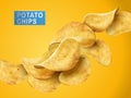 Potato chips elements