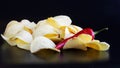Potato chips and hot red chili peppers on a black background Royalty Free Stock Photo