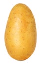 Potato close-up