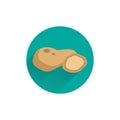 Potato flat icon with long shadow. Potato flat icon