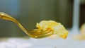 Potato cookies tasting on a gold fork in the chef's hand. Potato cookies canonic recipe Brie, parmesan and Heavy