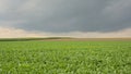 Potato and corn fields under dark clouds in the Flemish countryside