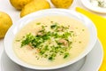 Potato cream soup with chopped meat balls Royalty Free Stock Photo