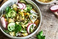 Potato with Cucumber and Radish Salad Royalty Free Stock Photo