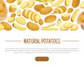 Potato Design with Raw Root Vegetable with Peel Vector Template Royalty Free Stock Photo