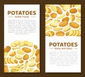 Potato Design with Raw Root Vegetable with Peel Vector Template Royalty Free Stock Photo