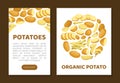 Potato Design with Raw Root Vegetable with Peel Vector Template Royalty Free Stock Photo