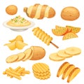 Potato dish, meal, garnish, street food and snack. French fries, rustic and mash potatoes, chips. Cartoon sliced potato