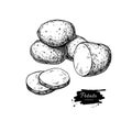 Potato Drawing. Isolated Potatoes Heap And Sliced Piece.