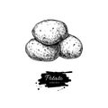 Potato Drawing. Isolated Potatoes Heap. Vegetable Engrave