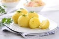 Potato dumplings Royalty Free Stock Photo