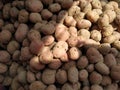 Potato farm agriculture background brown food fresh group natural organic.