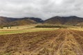 Potato field on a background of mountains Royalty Free Stock Photo