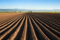 Potato field in the early spring after sowing - with furrows run