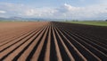 Potato field in spring after sowing - camera rise and reveal the furrows