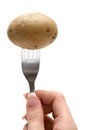 Potato on a Fork Royalty Free Stock Photo