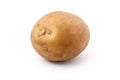 Potato Germinating Royalty Free Stock Photo