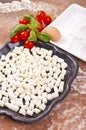 Potato gnocchi with flour aproteica Royalty Free Stock Photo