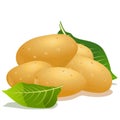 Potato and green leaf