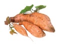 Potato harvest Ipomoea batatas,  dug out of the ground on an isolated white Royalty Free Stock Photo