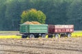 Potato Harvest Royalty Free Stock Photo