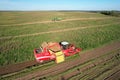 Potato Harvester Grimme Tectron 415. Agricultural Potato Combine Harvester at field. Seasonal harvesting of potatoes from field in