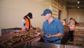 potato harvesting. sorting potatoes. farmer inspects quality of potato crop, using digital tablet. workers sort and cull