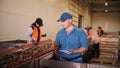 potato harvesting. sorting potatoes. farmer inspects quality of potato crop, using digital tablet. workers sort and cull