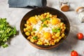 Potato hash with eggs and herbs for breakfast on concrete background Royalty Free Stock Photo