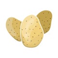 Potato Icon