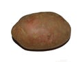 Potato isolated