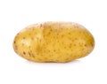 Potato isolated on white Royalty Free Stock Photo