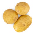 The potato isolated on white background Royalty Free Stock Photo