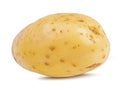 Potato isolated on white Royalty Free Stock Photo