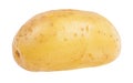 Potato isolated on white Royalty Free Stock Photo