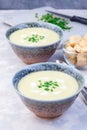 Potato leek soup in blue ceramic bowl garnished with french cream and green onion, vertical Royalty Free Stock Photo