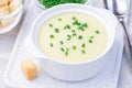 Potato leek soup in white ceramic bowl garnished with green onion served with croutons, horizontal, closeup Royalty Free Stock Photo