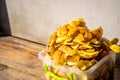 Potato peel in a plastic container, close-up. Food waste sorted separately. Composting leftovers after peeling potatoes Royalty Free Stock Photo