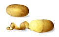 Potato peeled 3D illustration of realistic potato vegetable whole and half peeled and spiral twisted peel
