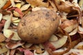 Potato with peelings Royalty Free Stock Photo