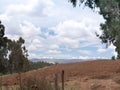 Potato plantation at Sacred Valley in Cusco Royalty Free Stock Photo