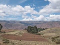 Potato plantation at Sacred Valley in Cusco Royalty Free Stock Photo
